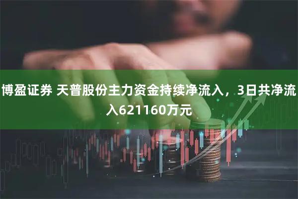 博盈证券 天普股份主力资金持续净流入，3日共净流入621160万元