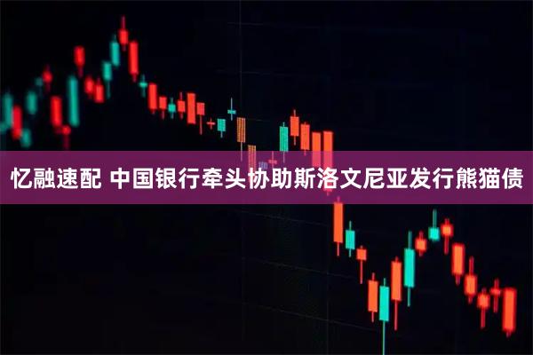 忆融速配 中国银行牵头协助斯洛文尼亚发行熊猫债