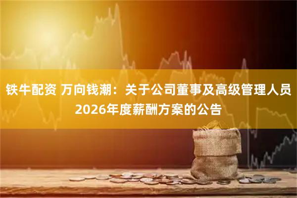 铁牛配资 万向钱潮：关于公司董事及高级管理人员2026年度薪酬方案的公告