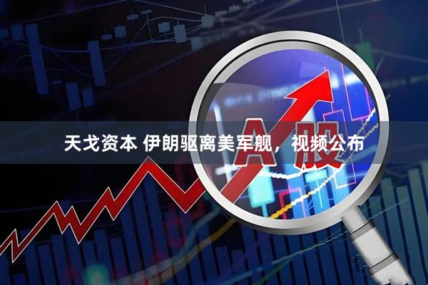 天戈资本 伊朗驱离美军舰,视频公布